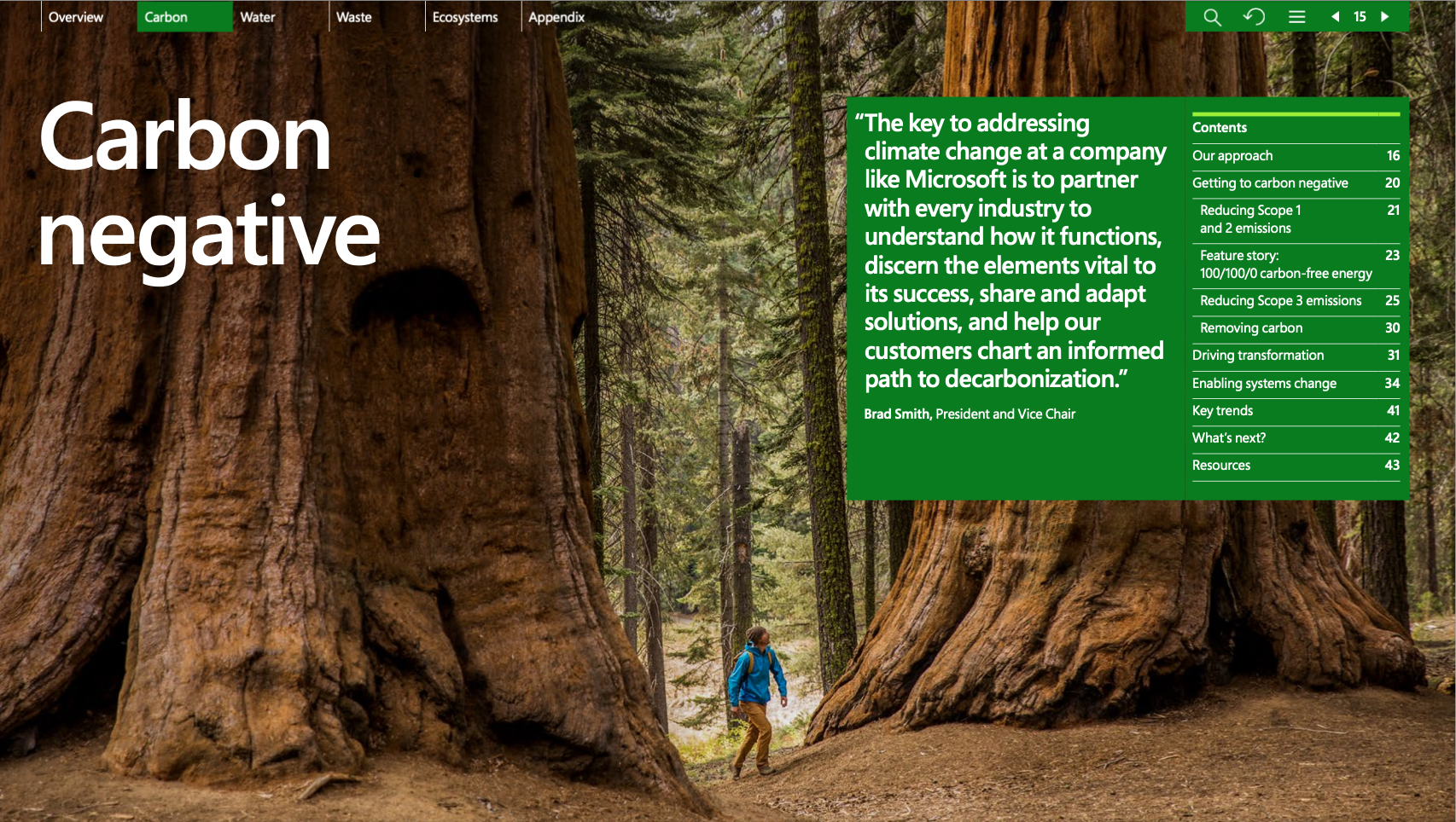 A hiker walks between two huge trees, staring up at them as he passes through the woods.