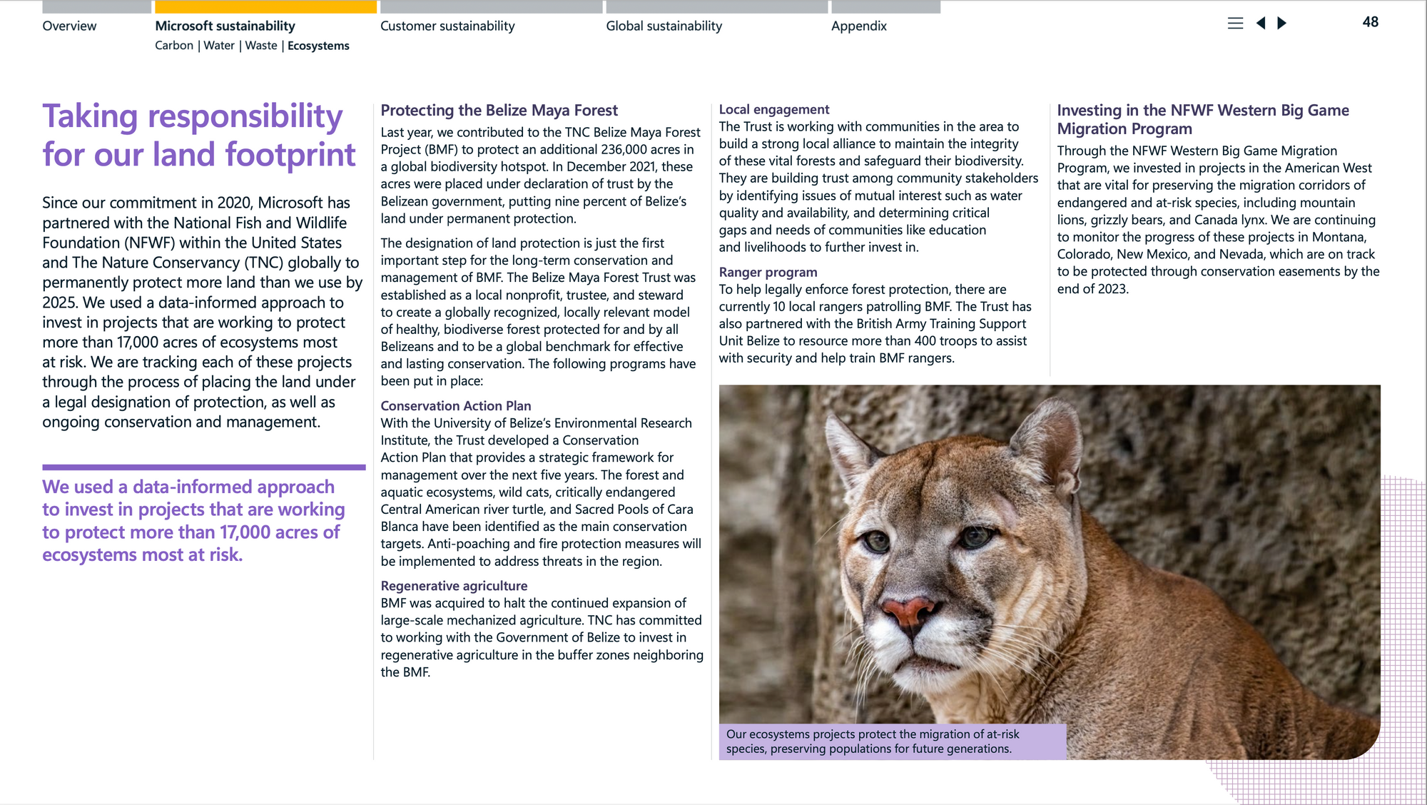 A picture of a mountain lion inside MS' report