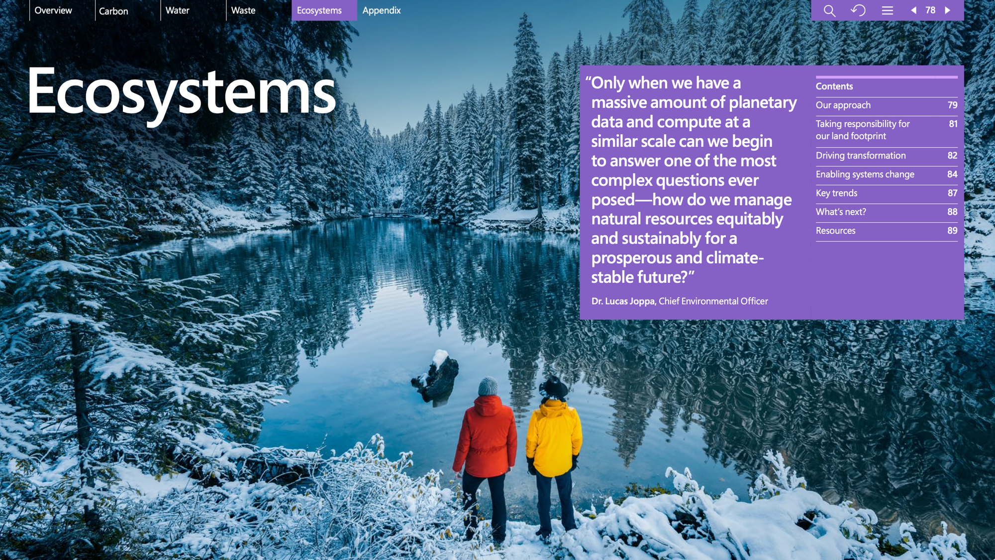 A winter scene with snow on trees and the ground, and two people gazing across the lake.