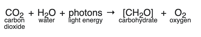 via Wikipedia