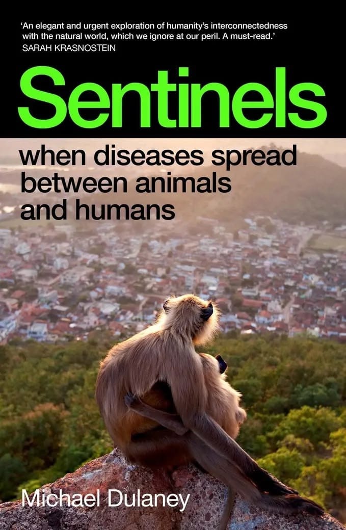 Zoonotic diseases & hope in shared struggle
