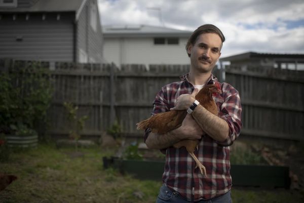 This is Ben Abraham – author of GTG and keeper of chickens