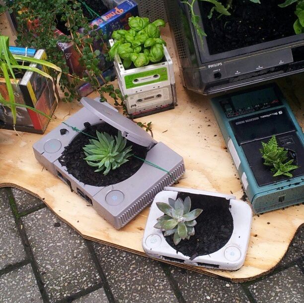 Old games consoles filled with dirt, planted with succulents and herbs.