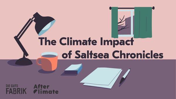 A pastel desk with a lamp, mug, post-its, paper and pens, with the words The Climate Impact of Saltsea Chronicles