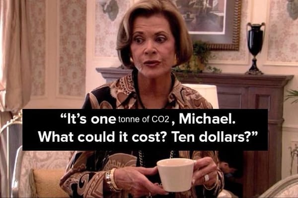 Lucile Bluth in arrested development captioned "its one tonne of CO2, Michael. What could it cost? Ten dollars?"