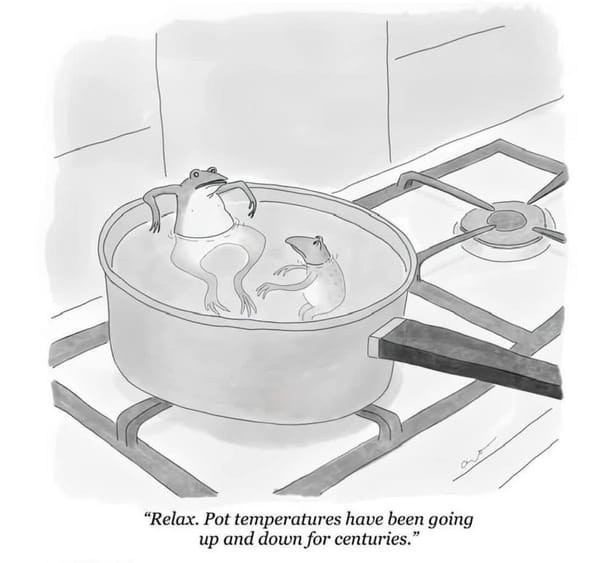 A New Yorker cartoon featuring two frogs in a pot on a stove, the caption reads "relax. Pot temperatures have been going up and down for centuries"